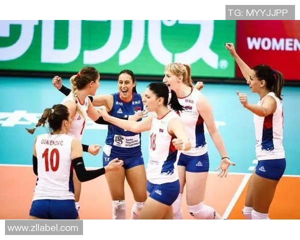 上海排球队灵活性引发热议球迷与专家观点交锋分析 上海排球队灵活性引发热议球迷与专家观点交锋分析