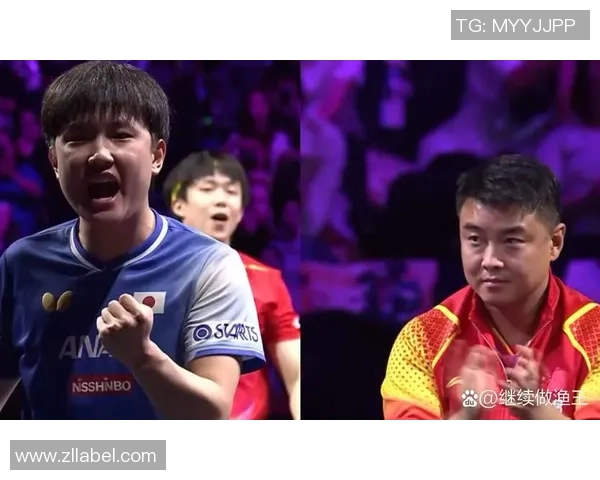 乒乓球耐力排行榜揭晓上海乒乓球队荣登第八名引发关注