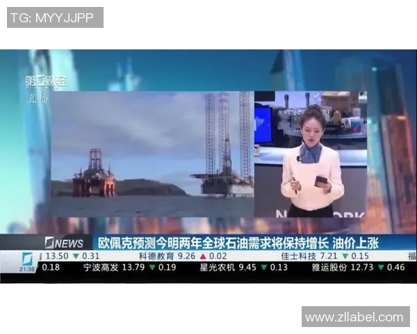 专访李秀英揭秘英雄联盟成功背后的策略与故事