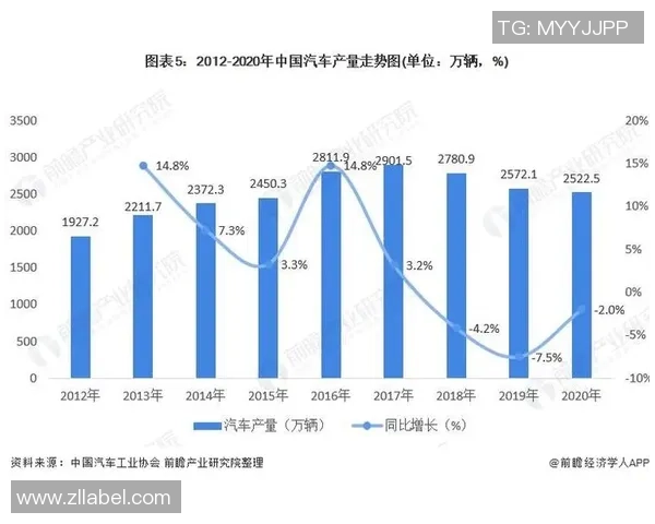 全面解析全球足球员现状与发展趋势的深度报告 全面解析全球足球员现状与发展趋势的深度报告