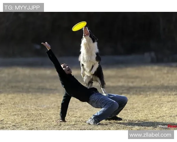 全国街舞大赛特别报道:北京飞盘队如何逆袭成冠军的精彩历程与背后故事 全国街舞大赛特别报道:北京飞盘队如何逆袭成冠军的精彩历程与背后故事