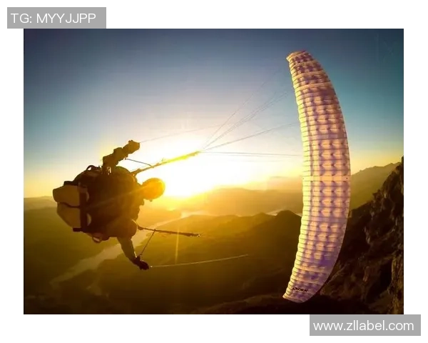 张伟亲述极限运动的挑战与乐趣分享，助你突破自我极限体验精彩人生