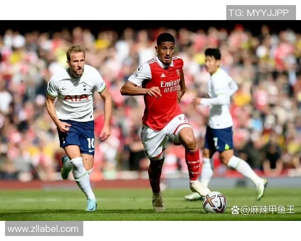 探索伦敦先锋足球的崛起与发展历程及其对英超联赛的影响