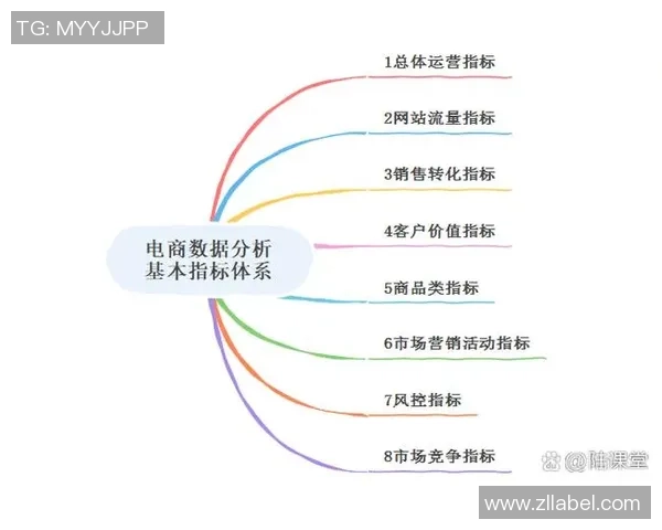 深入分析成都篮球队的运营策略与市场推广模式探讨