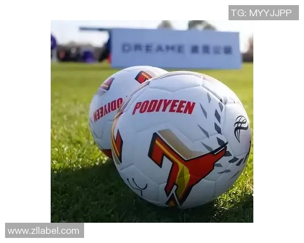 激情四溢的绿茵场上足球全场歌声响起，团结与梦想交织的旋律在心中回荡