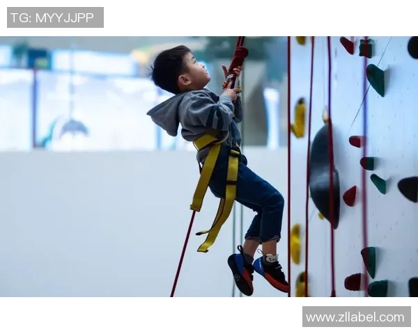 西安攀岩队防守策略解析与攀岩热点的深度探讨 西安攀岩队防守策略解析与攀岩热点的深度探讨