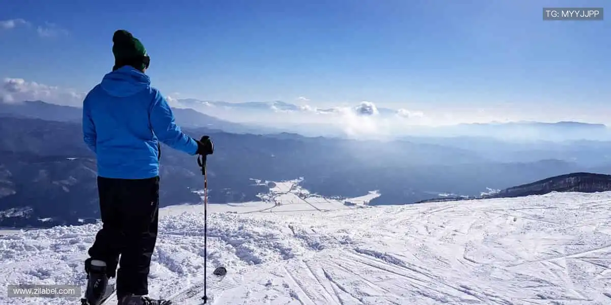 🏀 全球赛事，一网打尽，官网为你点燃竞技热血！