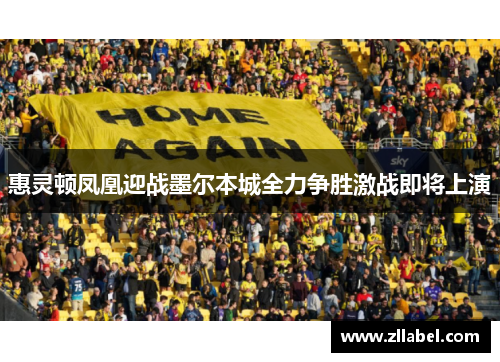 惠灵顿凤凰迎战墨尔本城全力争胜激战即将上演