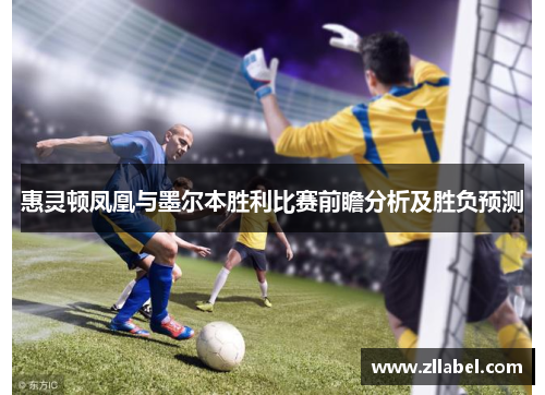 惠灵顿凤凰与墨尔本胜利比赛前瞻分析及胜负预测