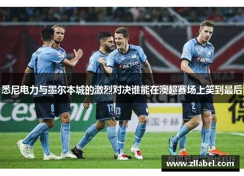 悉尼电力与墨尔本城的激烈对决谁能在澳超赛场上笑到最后