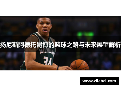 扬尼斯阿德托昆博的篮球之路与未来展望解析