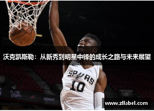 沃克凯斯勒：从新秀到明星中锋的成长之路与未来展望