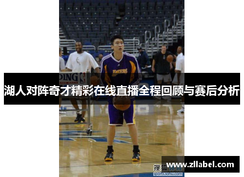 湖人对阵奇才精彩在线直播全程回顾与赛后分析
